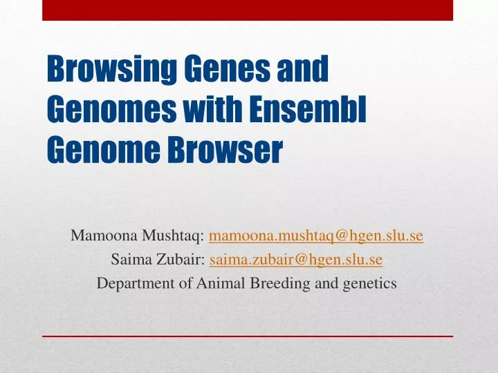 browsing genes and genomes with ensembl genome browser