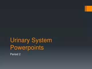Urinary System Powerpoints