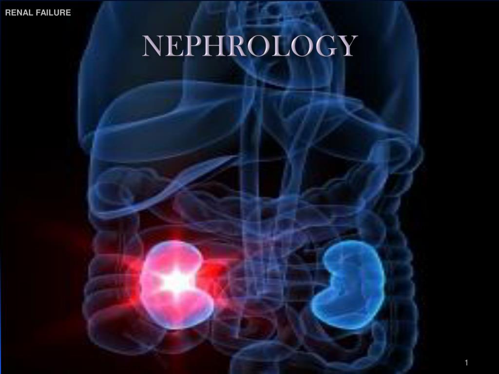 PPT - NEPHROLOGY PowerPoint Presentation, free download - ID:2240647