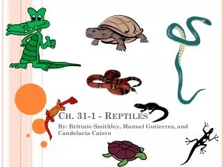 Ch. 31-1 - Reptiles