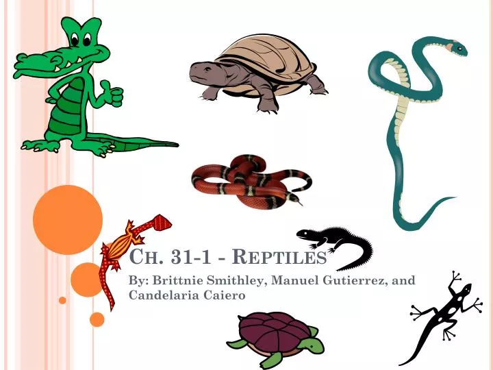 ch 31 1 reptiles