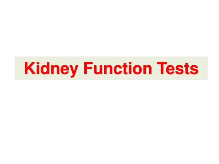 kidney function tests