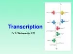 Transcription - slide 1