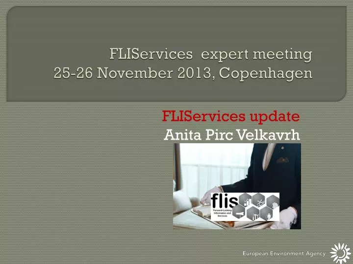 fliservices expert meeting 25 26 november 2013 copenhagen