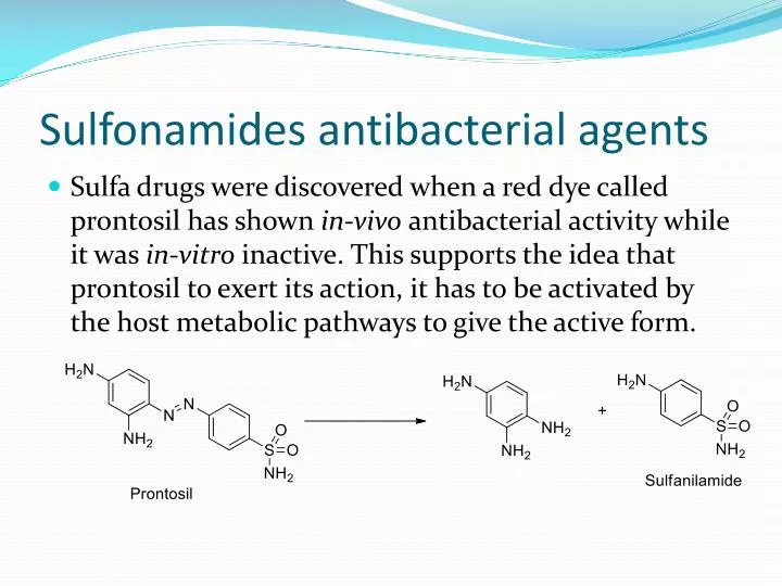 sulfonamides antibacterial agents