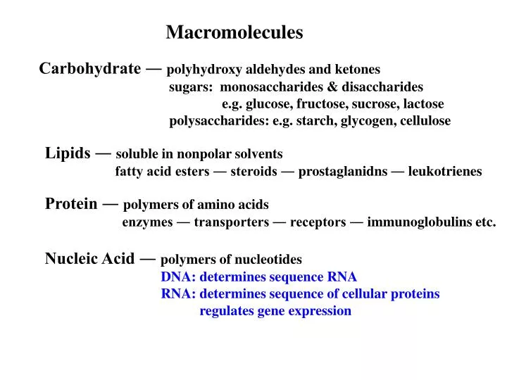 macromolecules examples