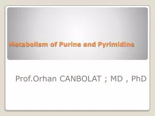 Metabolism of Purine and Pyrimidine
