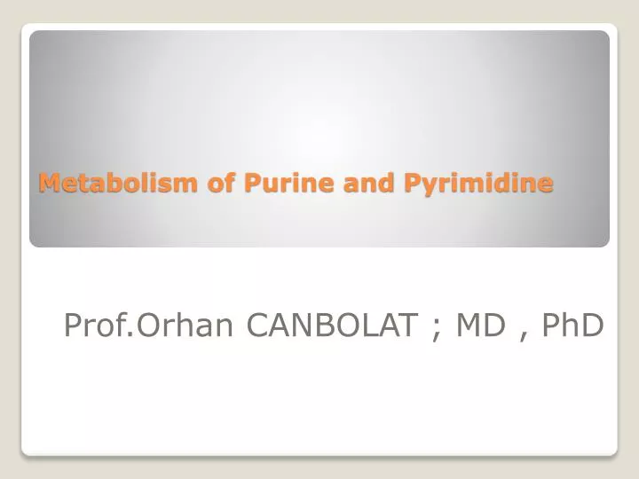 metabolism of purine and pyrimidine