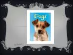 Paws and Discover: A Canine Adventure - slide 1