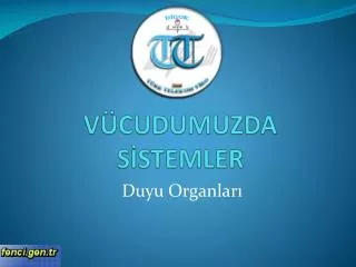 v cudumuzda s stemler
