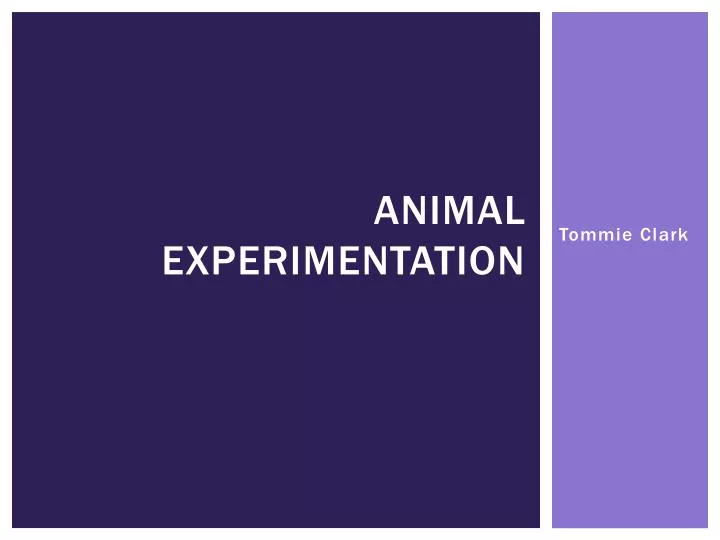 animal experimentation