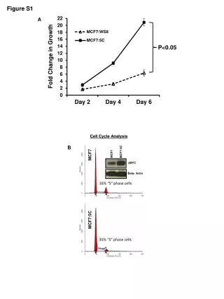 Figure S1