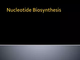 Nucleotide Biosynthesis