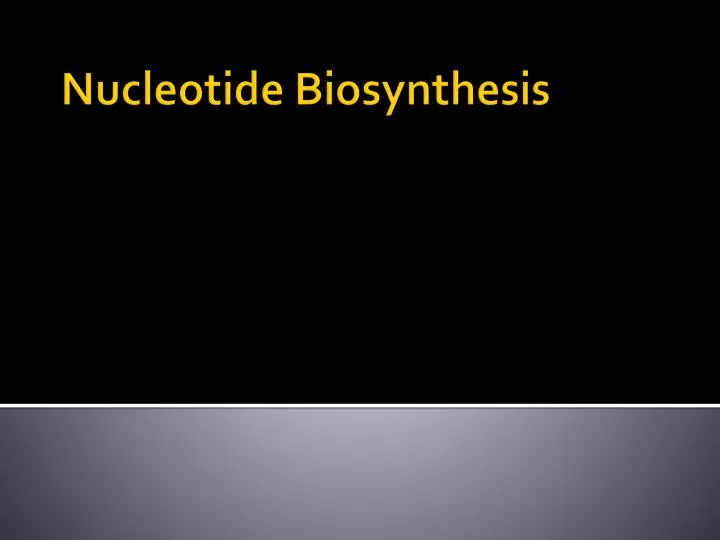 nucleotide biosynthesis