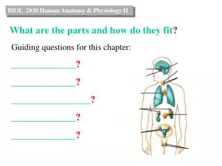 What are the parts and how do they fit ?