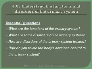 4.02 Understand the functions and disorders of the urinary system