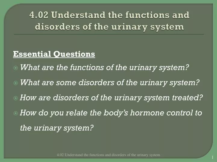 4 02 understand the functions and disorders of the urinary system