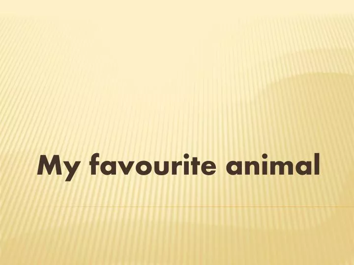 my favourite animal