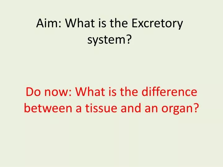 aim what is the excretory system