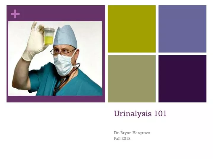 urinalysis 101