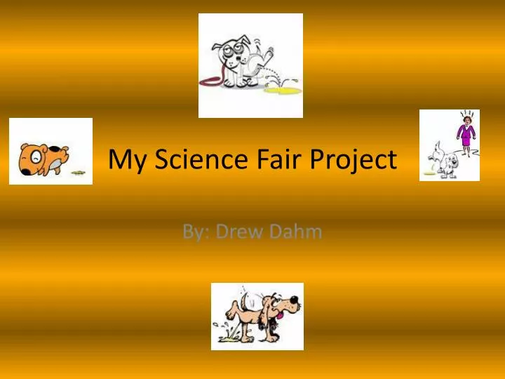 my science fair project