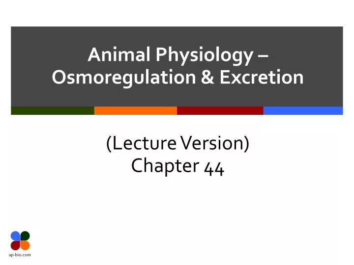 animal physiology osmoregulation excretion