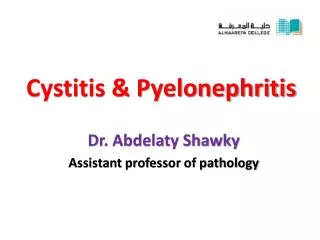 Cystitis &amp; Pyelonephritis
