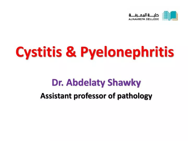 cystitis pyelonephritis