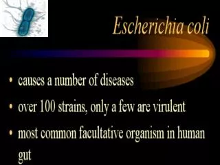 Symptoms ETEC infections include diarrhea without fever .
