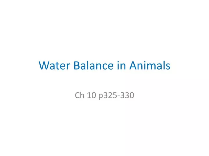 water balance in animals