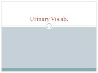 Urinary Vocab.