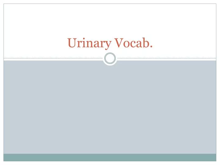 urinary vocab