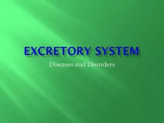 Excretory System