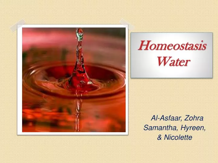 homeostasis water
