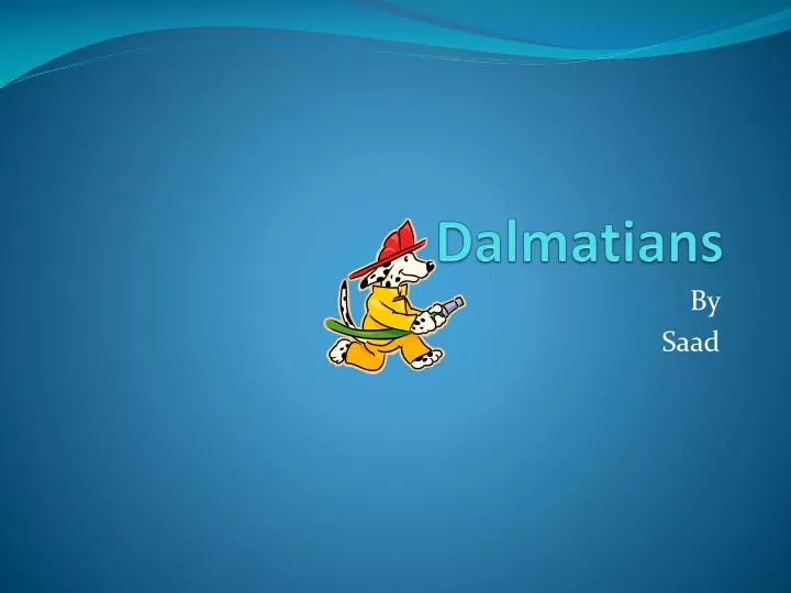 dalmatians