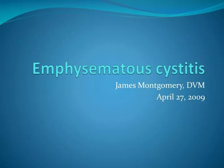 emphysematous cystitis