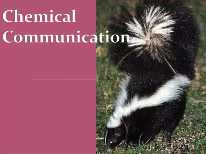 chemical communication