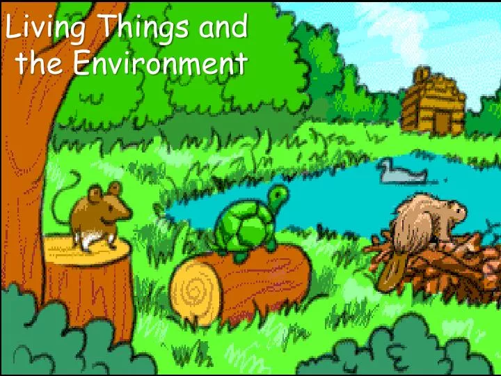 living things and the environment