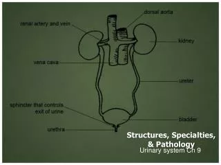 Structures, Specialties, &amp; Pathology