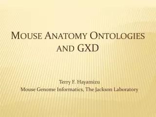 Mouse Anatomy Ontologies and GXD