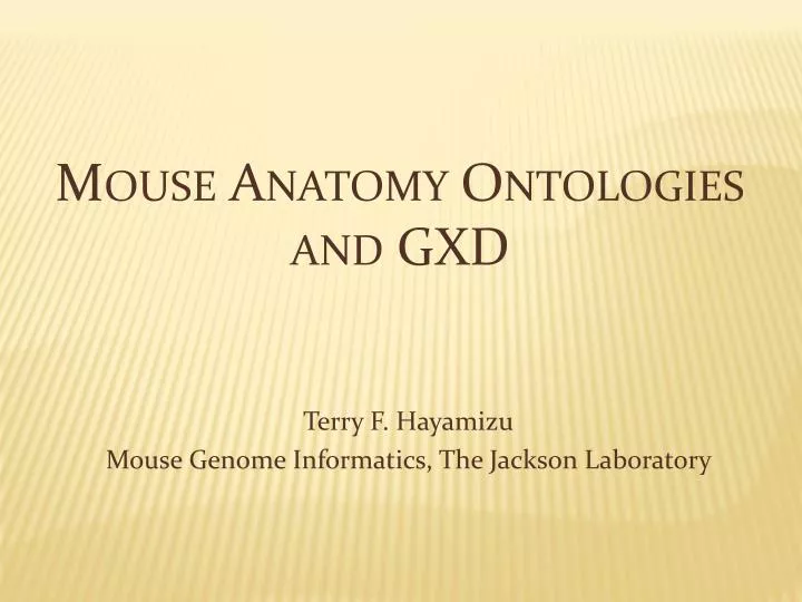 terry f hayamizu mouse genome informatics the jackson laboratory