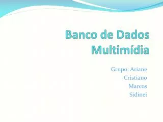 banco de dados multim dia