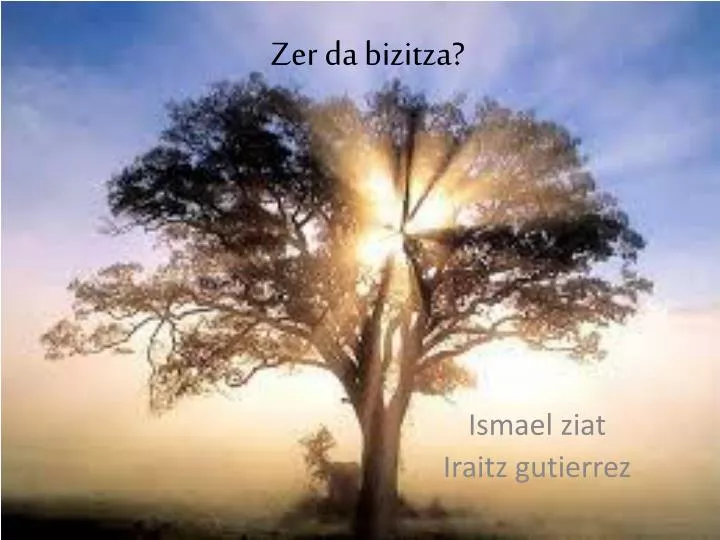 zer da bizitza