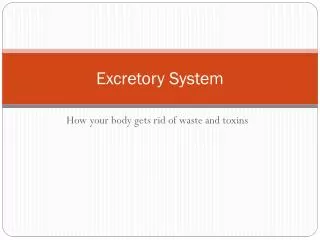 excretory system