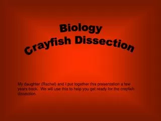 Biology Crayfish Dissection