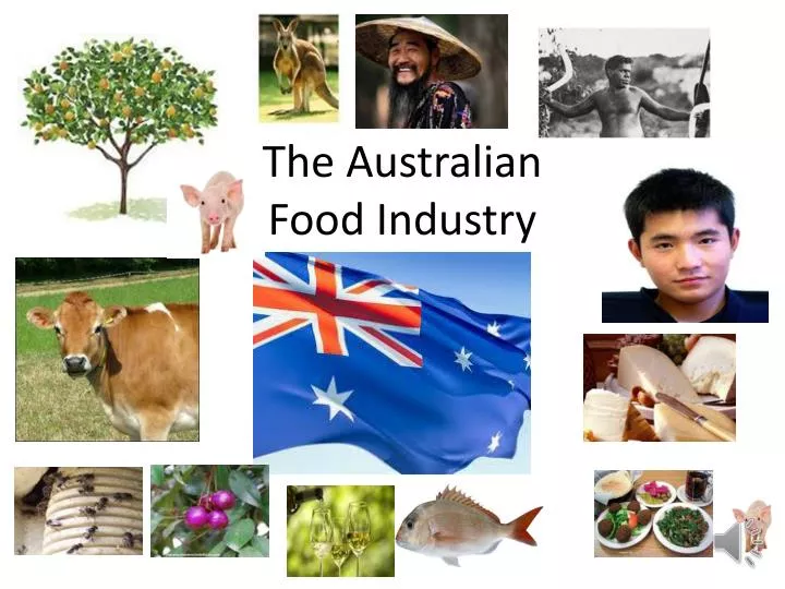 t he australian food i ndustry