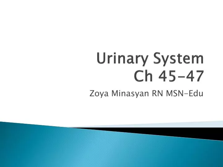 urinary system ch 45 47