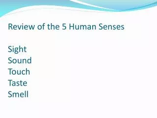 Review of the 5 Human Senses Sight Sound Touch Taste Smell