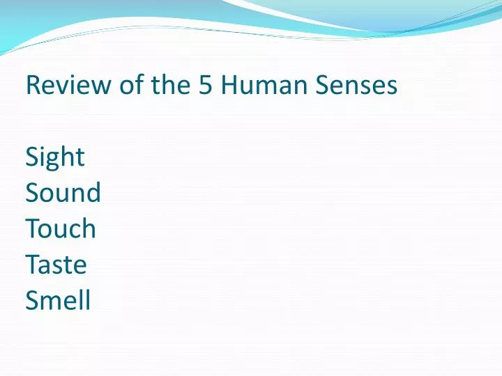 review of the 5 human senses sight sound touch taste smell