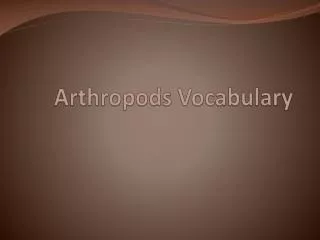 Arthropods Vocabulary